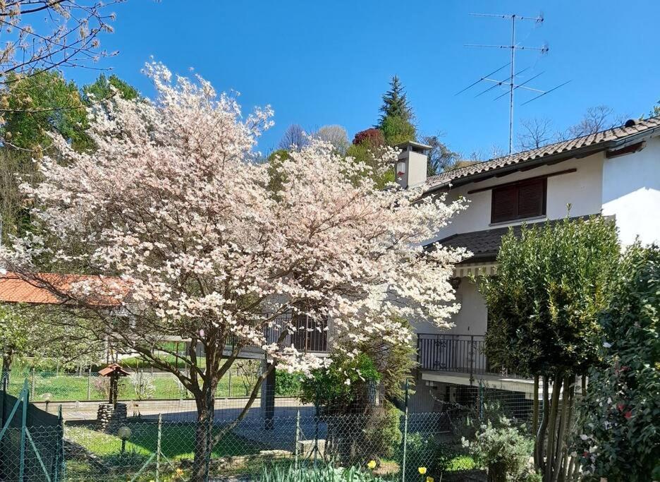 Вилла Il Vecchio Kiwi - House With Private Garden Оледжо-Кастелло Экстерьер фото
